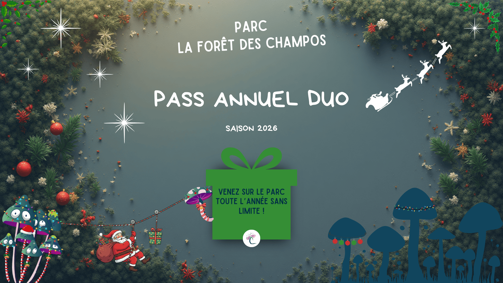 Campagne Pass annuel 2025