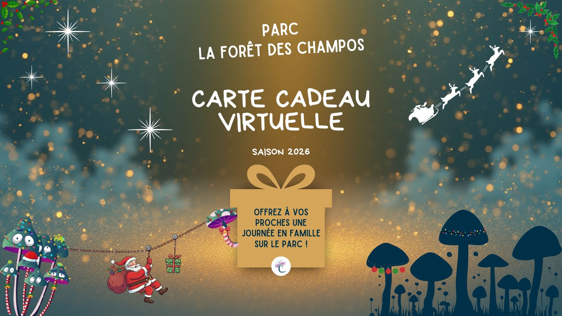 Campagne carte cadeau 2025 (2)